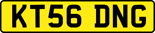 KT56DNG