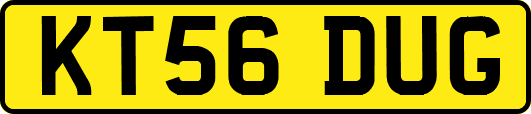 KT56DUG