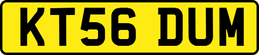 KT56DUM