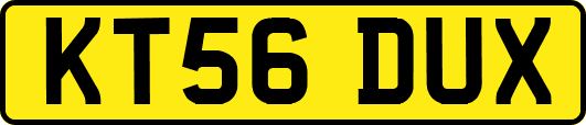 KT56DUX