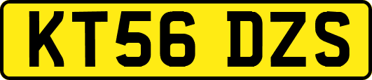 KT56DZS