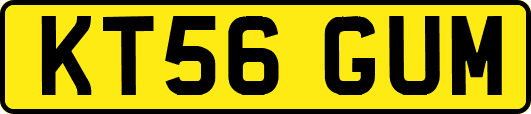 KT56GUM