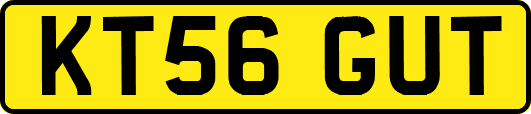 KT56GUT
