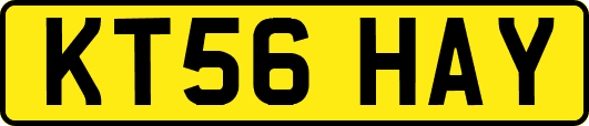 KT56HAY