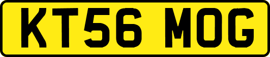 KT56MOG