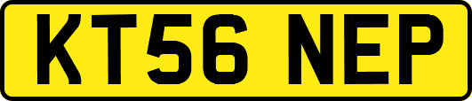KT56NEP