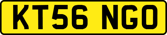 KT56NGO