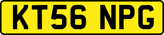 KT56NPG