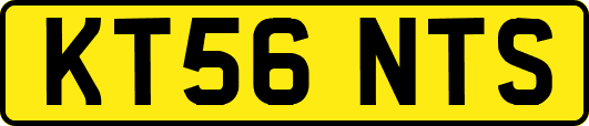 KT56NTS