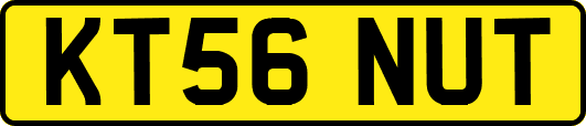 KT56NUT