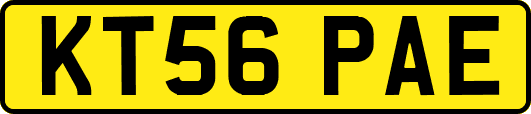 KT56PAE