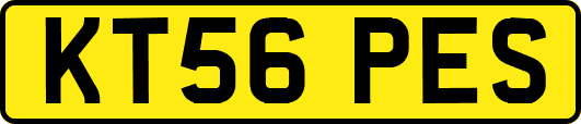 KT56PES