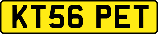 KT56PET