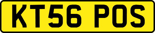 KT56POS