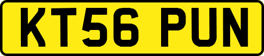 KT56PUN