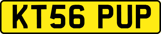 KT56PUP