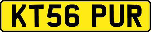 KT56PUR