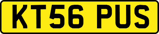 KT56PUS