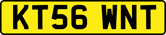 KT56WNT