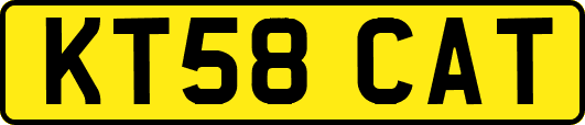 KT58CAT