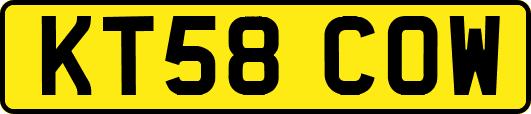 KT58COW