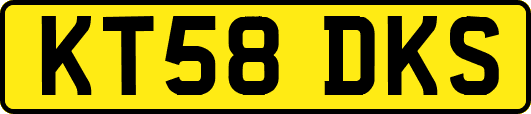 KT58DKS