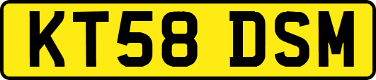 KT58DSM