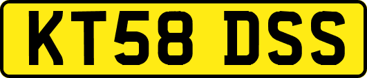 KT58DSS