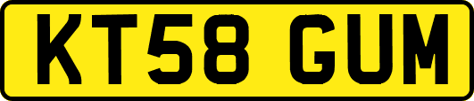 KT58GUM