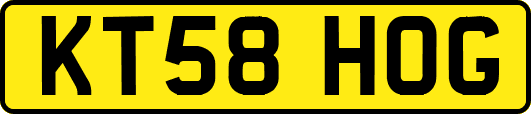 KT58HOG