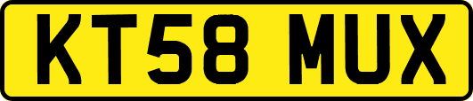 KT58MUX