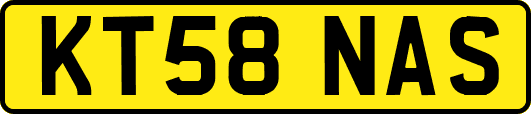 KT58NAS