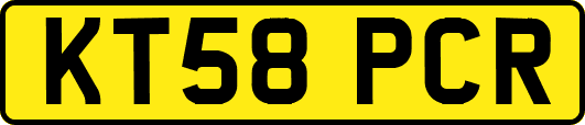 KT58PCR