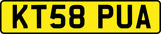 KT58PUA