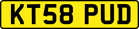 KT58PUD
