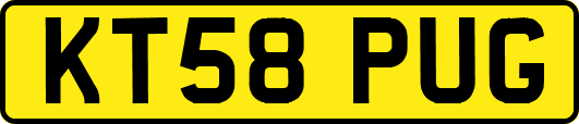 KT58PUG