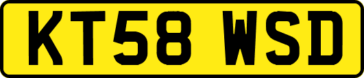 KT58WSD