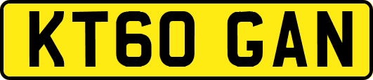 KT60GAN