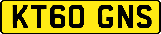 KT60GNS