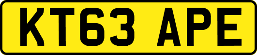 KT63APE