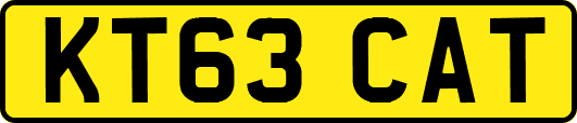 KT63CAT