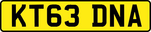 KT63DNA