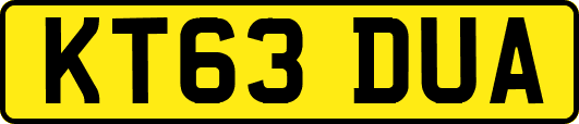 KT63DUA