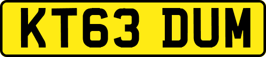 KT63DUM