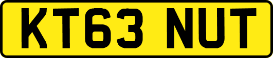 KT63NUT