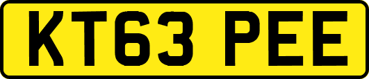 KT63PEE
