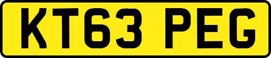 KT63PEG