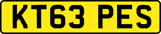 KT63PES