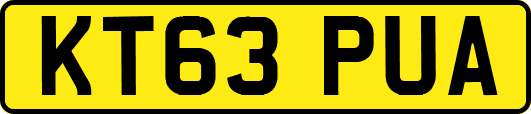 KT63PUA