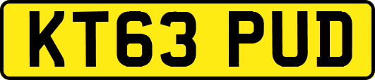 KT63PUD